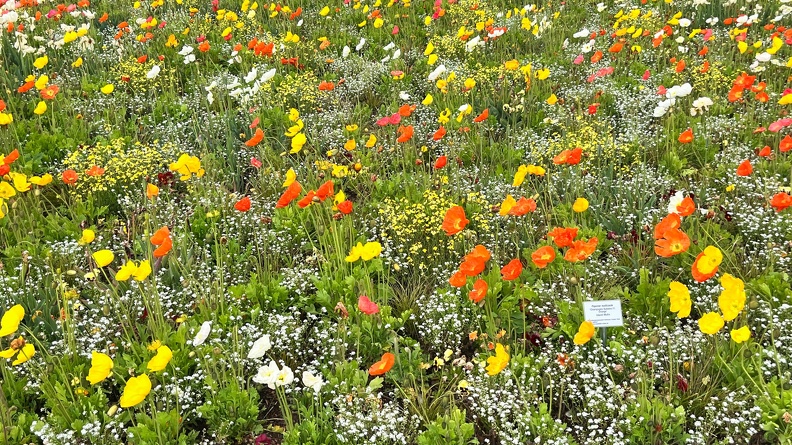 23-05-16 10-52-45 5385.jpeg